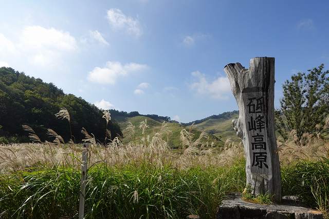 兵庫県ススキの美しい砥峰高原が最高でした。